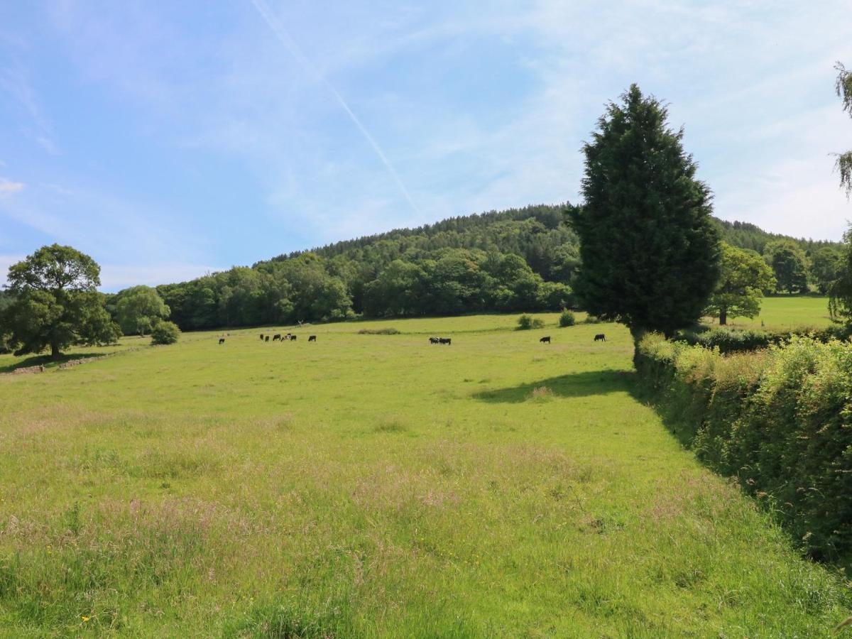 Lees Moor Cottage Matlock  Kültér fotó
